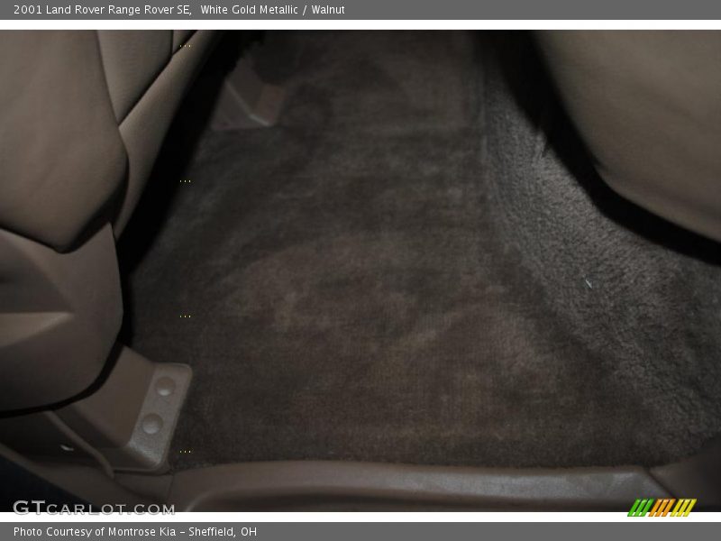 White Gold Metallic / Walnut 2001 Land Rover Range Rover SE