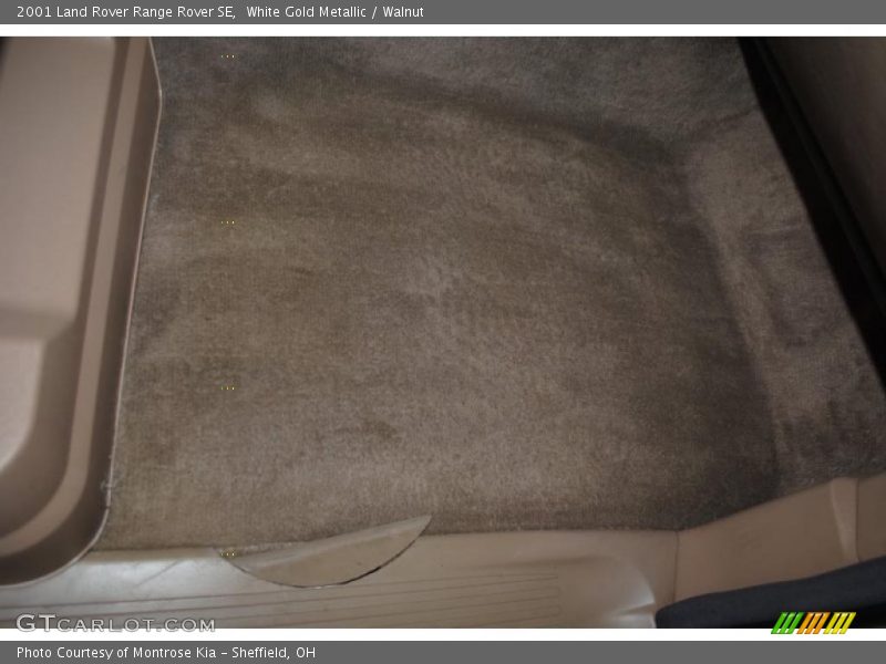 White Gold Metallic / Walnut 2001 Land Rover Range Rover SE
