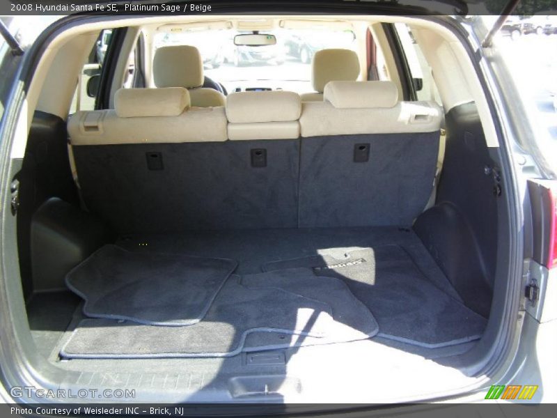 Platinum Sage / Beige 2008 Hyundai Santa Fe SE