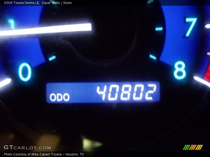 Super White / Stone 2009 Toyota Sienna LE