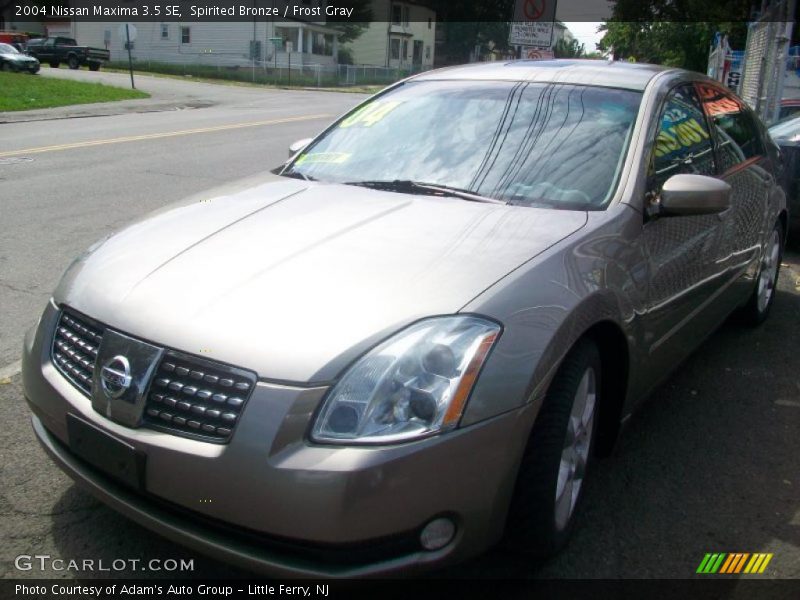 Spirited Bronze / Frost Gray 2004 Nissan Maxima 3.5 SE