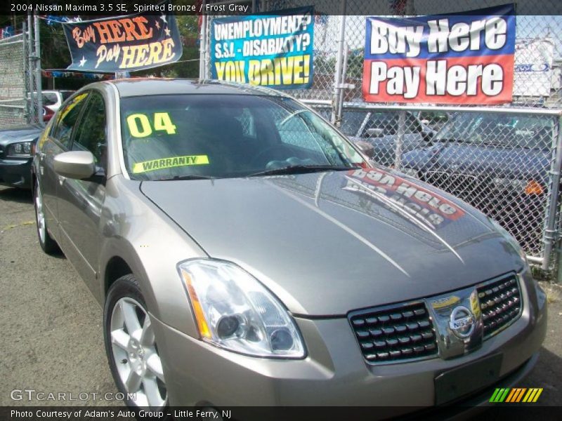 Spirited Bronze / Frost Gray 2004 Nissan Maxima 3.5 SE