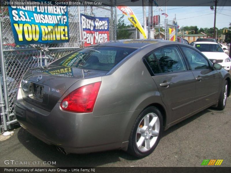 Spirited Bronze / Frost Gray 2004 Nissan Maxima 3.5 SE