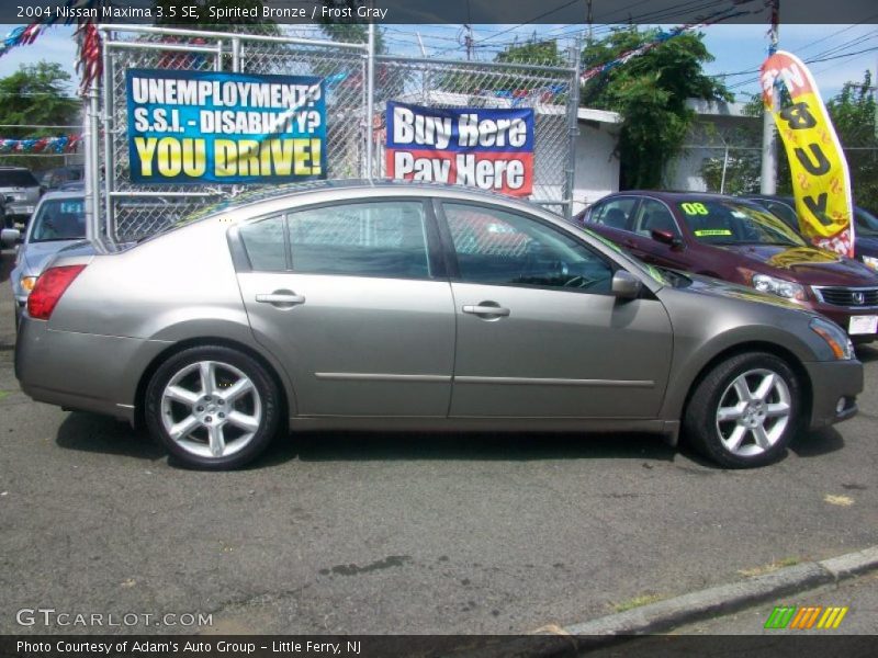 Spirited Bronze / Frost Gray 2004 Nissan Maxima 3.5 SE