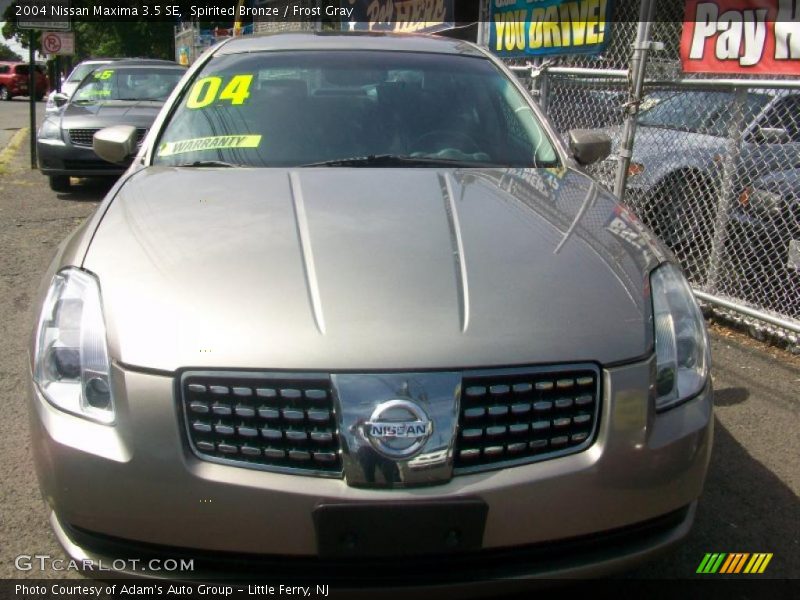 Spirited Bronze / Frost Gray 2004 Nissan Maxima 3.5 SE
