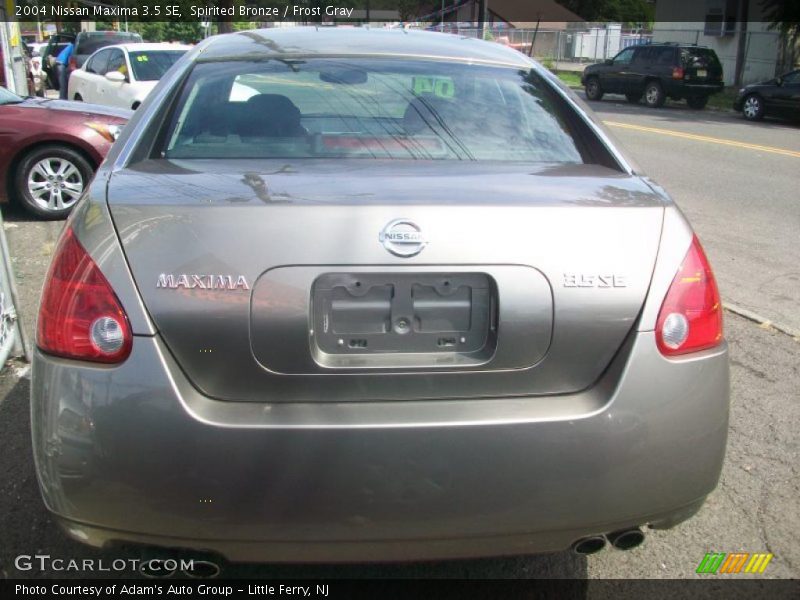 Spirited Bronze / Frost Gray 2004 Nissan Maxima 3.5 SE
