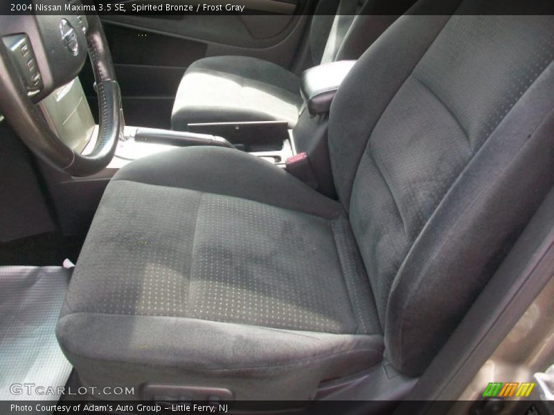 Spirited Bronze / Frost Gray 2004 Nissan Maxima 3.5 SE