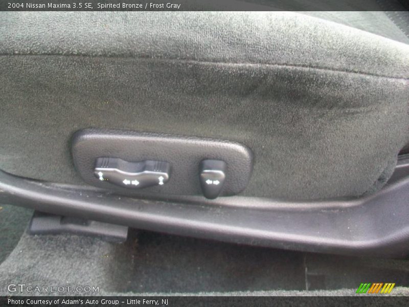 Spirited Bronze / Frost Gray 2004 Nissan Maxima 3.5 SE