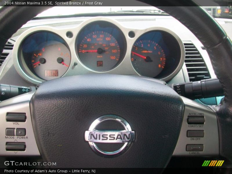 Spirited Bronze / Frost Gray 2004 Nissan Maxima 3.5 SE