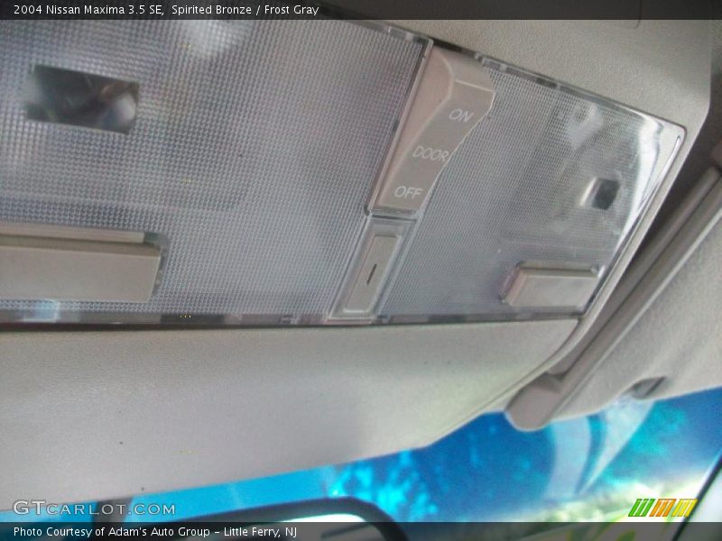 Spirited Bronze / Frost Gray 2004 Nissan Maxima 3.5 SE