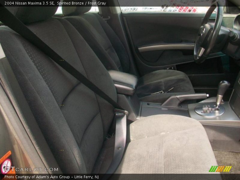 Spirited Bronze / Frost Gray 2004 Nissan Maxima 3.5 SE
