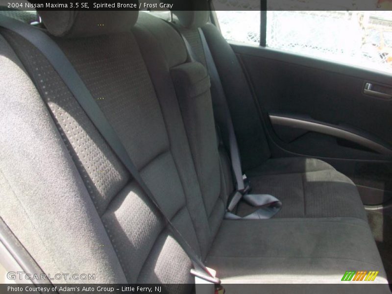 Spirited Bronze / Frost Gray 2004 Nissan Maxima 3.5 SE
