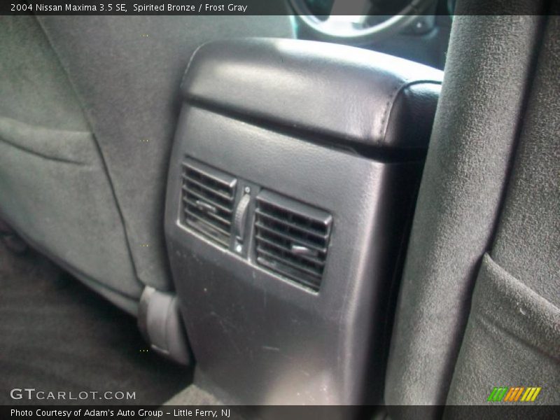 Spirited Bronze / Frost Gray 2004 Nissan Maxima 3.5 SE