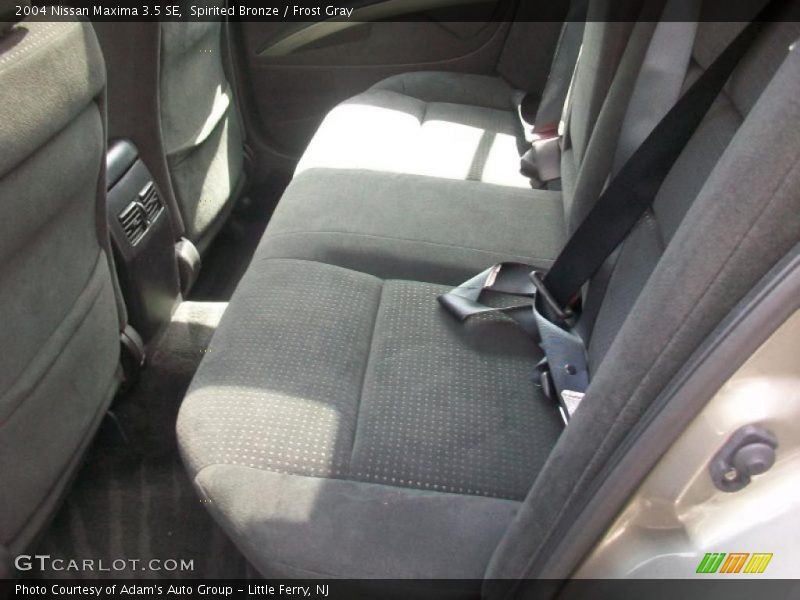 Spirited Bronze / Frost Gray 2004 Nissan Maxima 3.5 SE