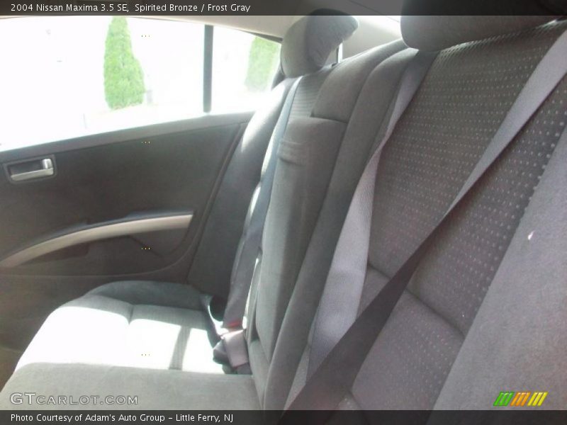 Spirited Bronze / Frost Gray 2004 Nissan Maxima 3.5 SE