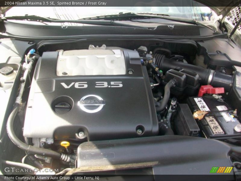 Spirited Bronze / Frost Gray 2004 Nissan Maxima 3.5 SE
