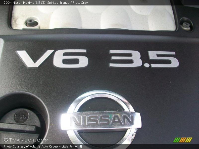 Spirited Bronze / Frost Gray 2004 Nissan Maxima 3.5 SE