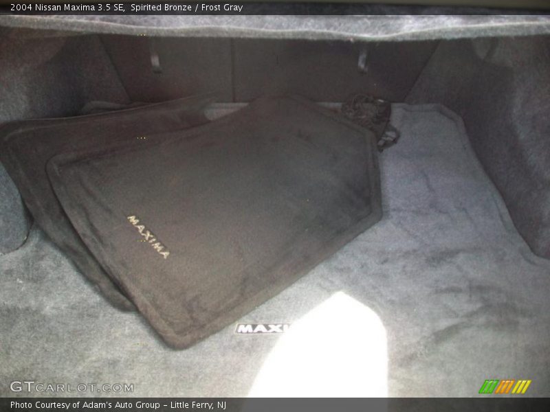 Spirited Bronze / Frost Gray 2004 Nissan Maxima 3.5 SE