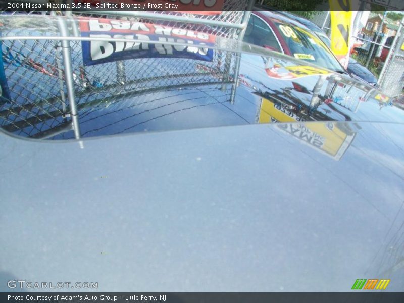 Spirited Bronze / Frost Gray 2004 Nissan Maxima 3.5 SE