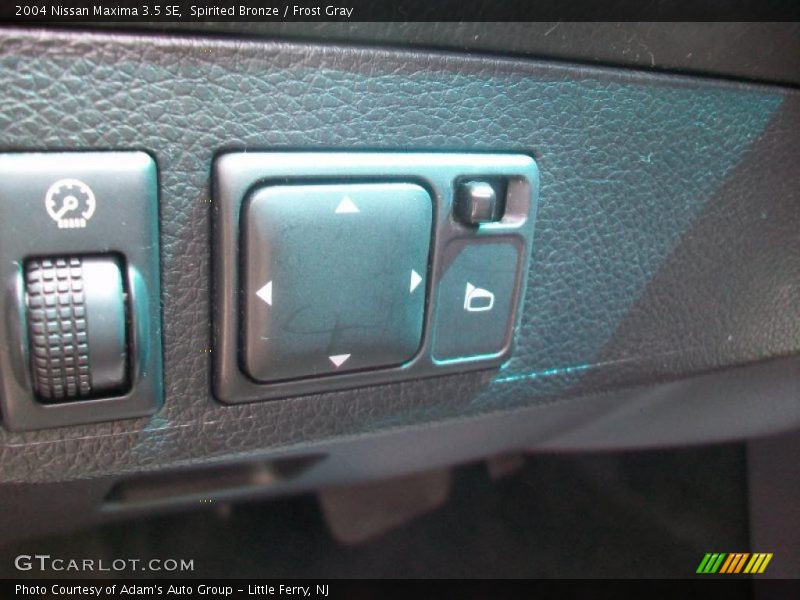 Spirited Bronze / Frost Gray 2004 Nissan Maxima 3.5 SE