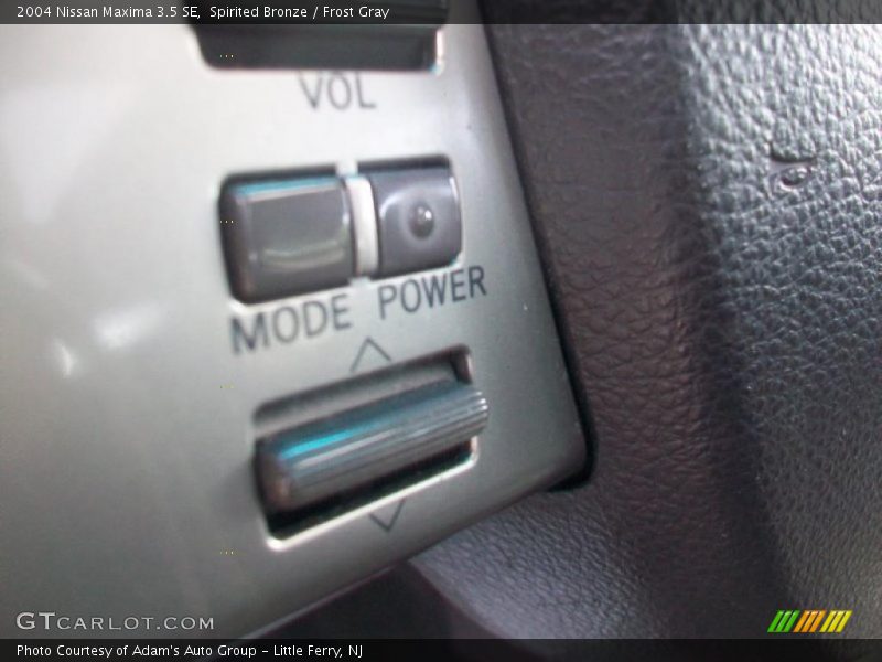Spirited Bronze / Frost Gray 2004 Nissan Maxima 3.5 SE