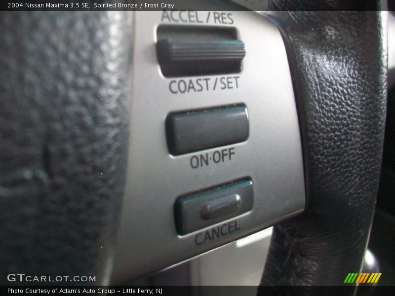 Spirited Bronze / Frost Gray 2004 Nissan Maxima 3.5 SE