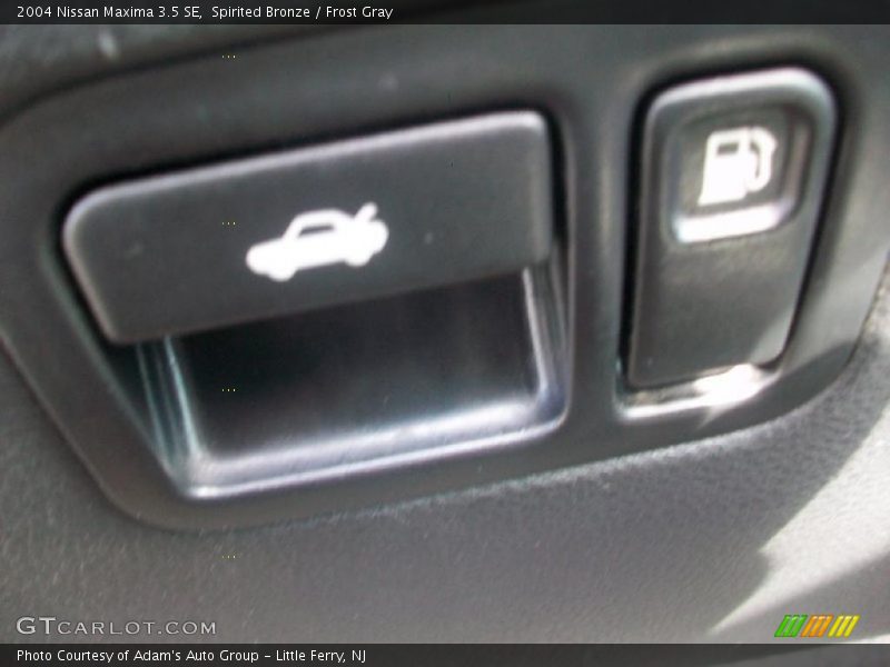 Spirited Bronze / Frost Gray 2004 Nissan Maxima 3.5 SE