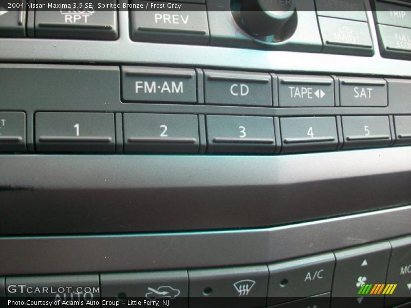 Spirited Bronze / Frost Gray 2004 Nissan Maxima 3.5 SE