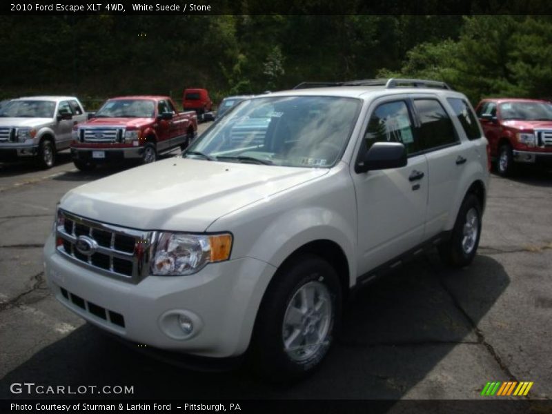 White Suede / Stone 2010 Ford Escape XLT 4WD