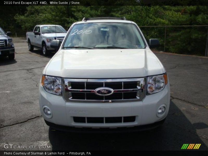 White Suede / Stone 2010 Ford Escape XLT 4WD