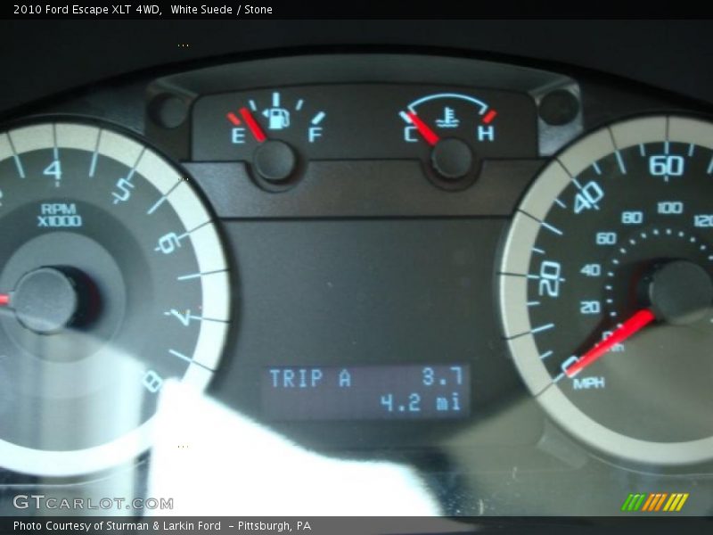 White Suede / Stone 2010 Ford Escape XLT 4WD