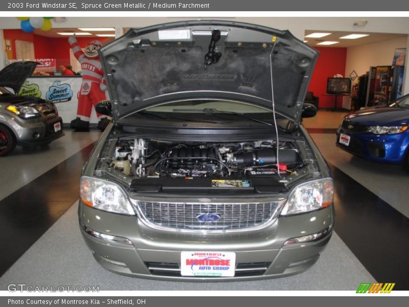 Spruce Green Metallic / Medium Parchment 2003 Ford Windstar SE