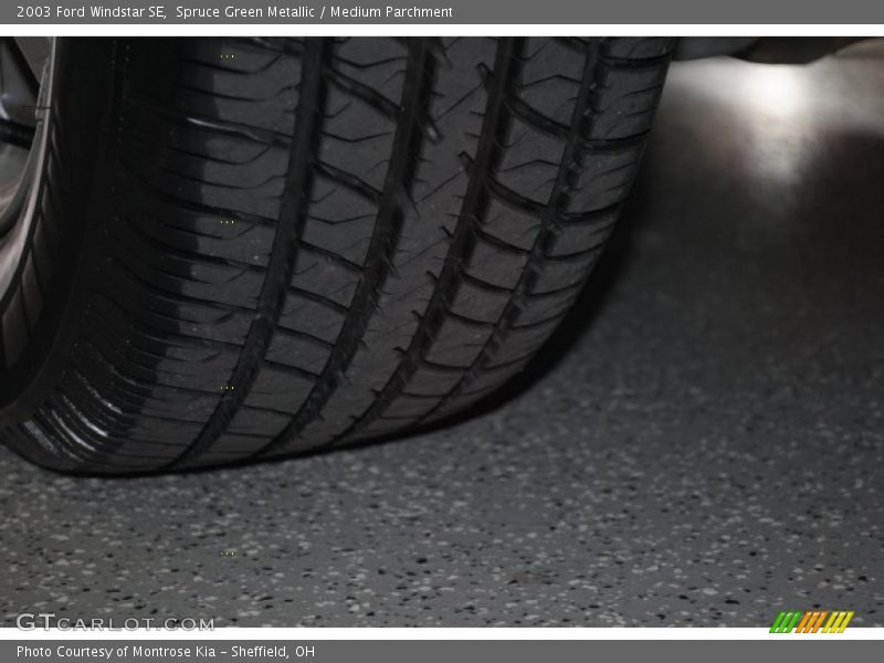 Spruce Green Metallic / Medium Parchment 2003 Ford Windstar SE