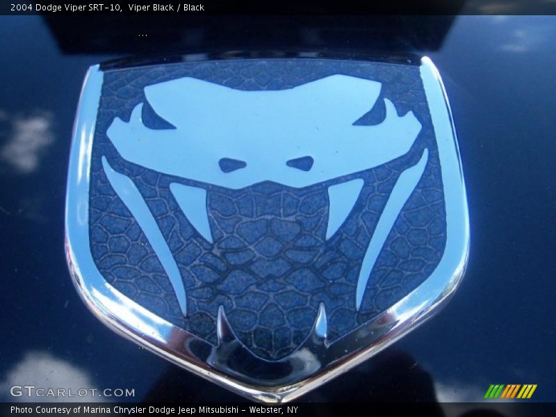 Viper Black / Black 2004 Dodge Viper SRT-10
