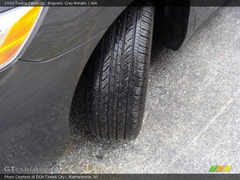 Magnetic Gray Metallic / Ash 2009 Toyota Camry LE