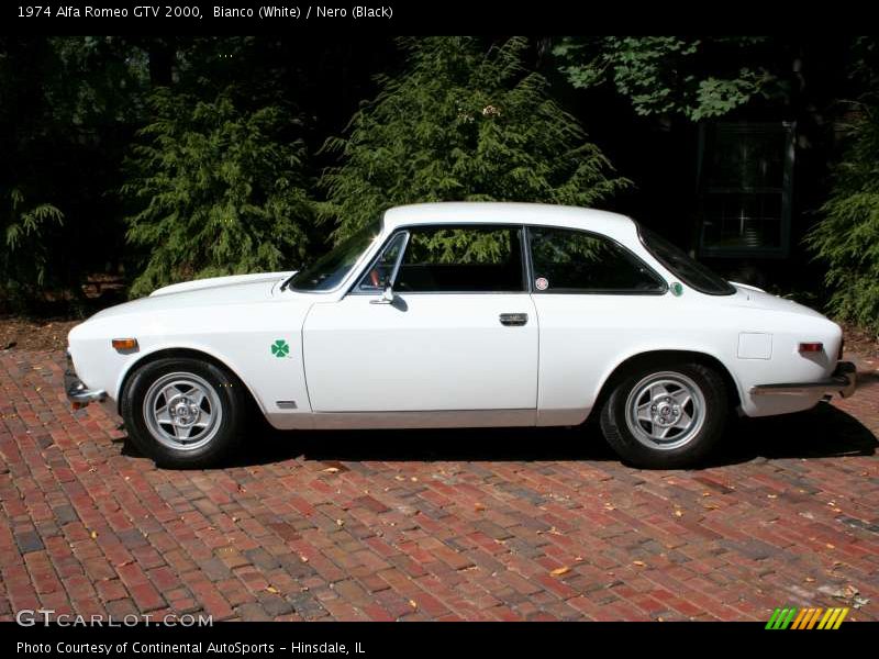Bianco (White) / Nero (Black) 1974 Alfa Romeo GTV 2000