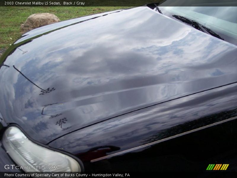 Black / Gray 2003 Chevrolet Malibu LS Sedan