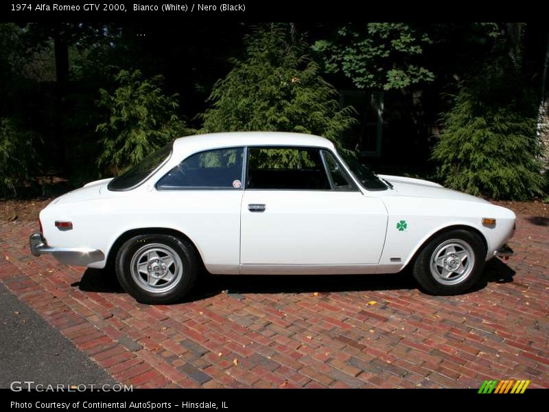Bianco (White) / Nero (Black) 1974 Alfa Romeo GTV 2000