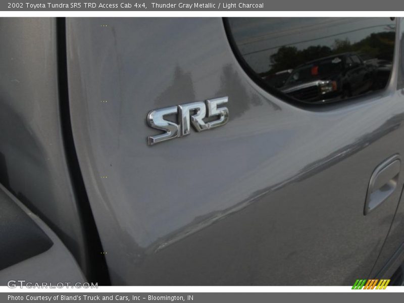 Thunder Gray Metallic / Light Charcoal 2002 Toyota Tundra SR5 TRD Access Cab 4x4
