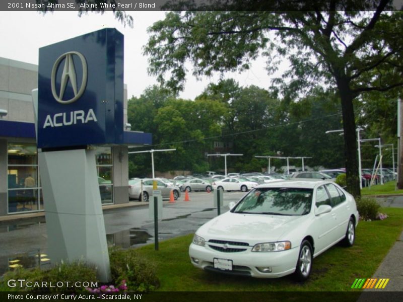 Alpine White Pearl / Blond 2001 Nissan Altima SE