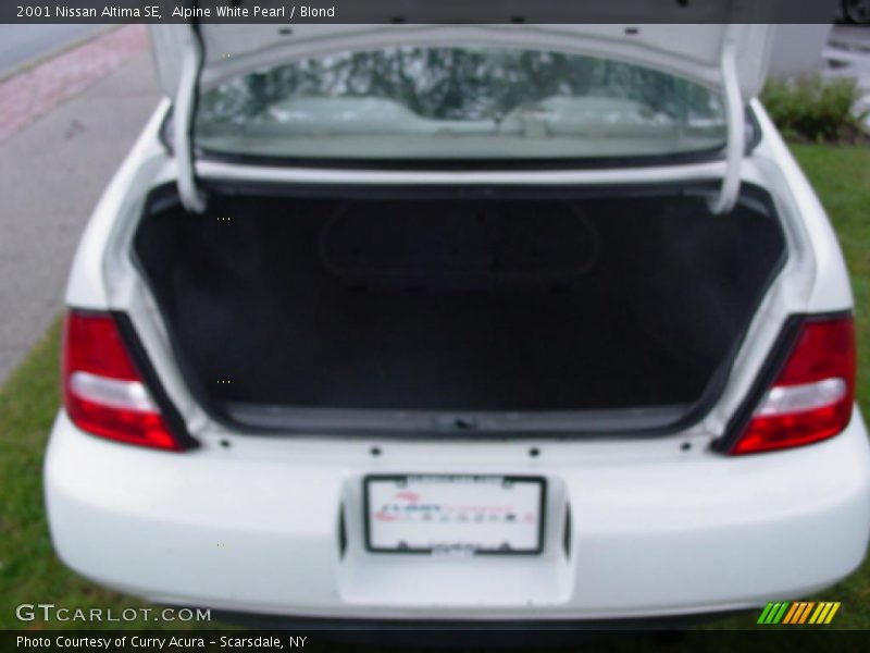 Alpine White Pearl / Blond 2001 Nissan Altima SE