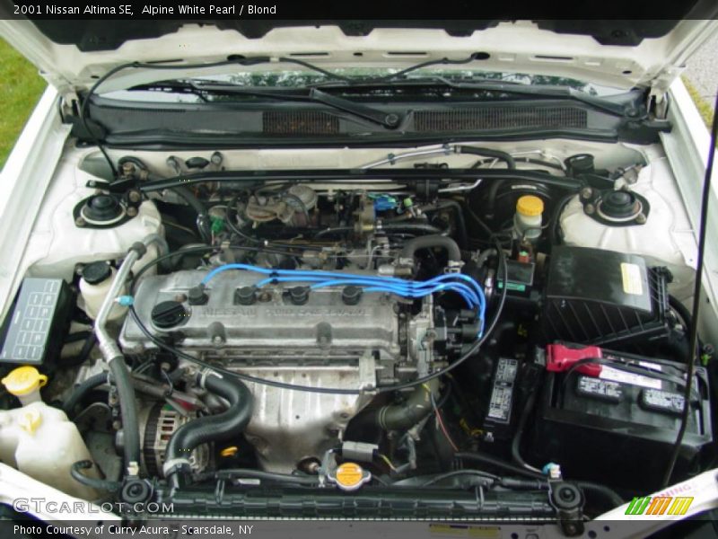 Alpine White Pearl / Blond 2001 Nissan Altima SE