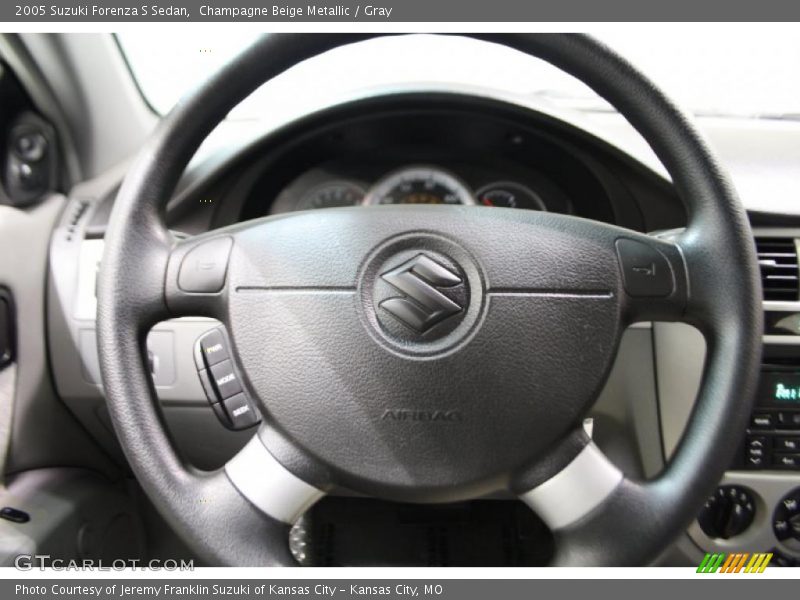 Champagne Beige Metallic / Gray 2005 Suzuki Forenza S Sedan