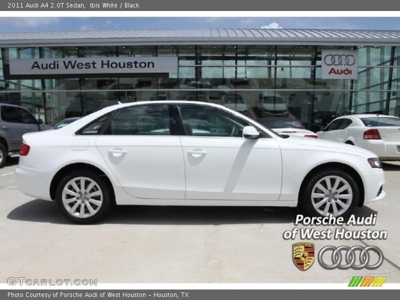 Ibis White / Black 2011 Audi A4 2.0T Sedan