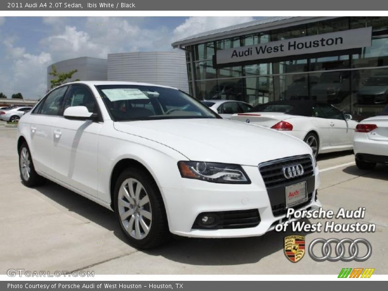 Ibis White / Black 2011 Audi A4 2.0T Sedan