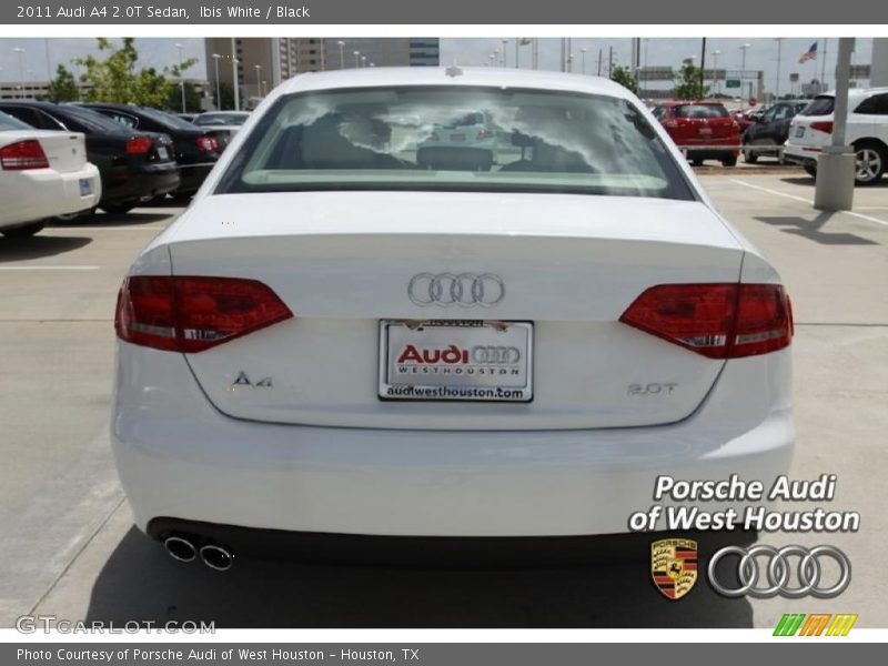 Ibis White / Black 2011 Audi A4 2.0T Sedan