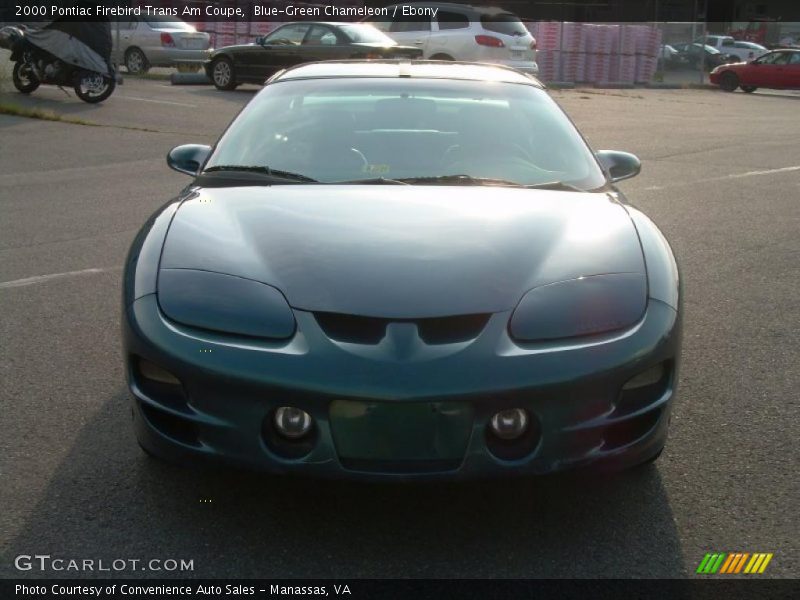 Blue-Green Chameleon / Ebony 2000 Pontiac Firebird Trans Am Coupe
