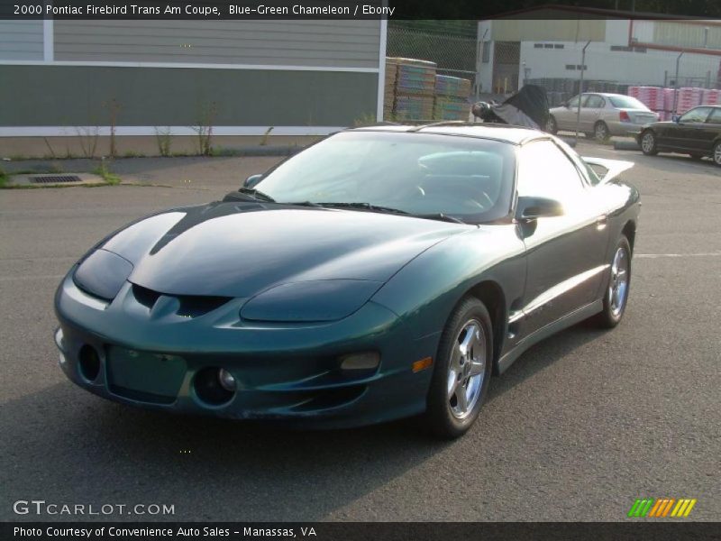 Blue-Green Chameleon / Ebony 2000 Pontiac Firebird Trans Am Coupe