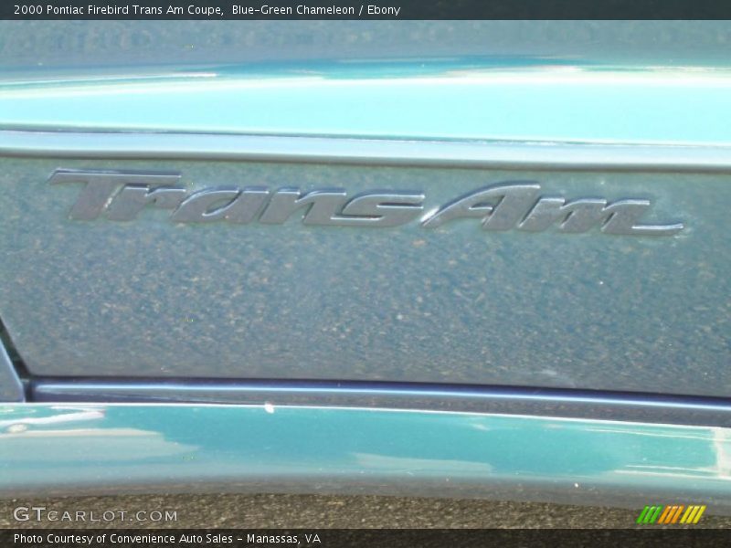 Blue-Green Chameleon / Ebony 2000 Pontiac Firebird Trans Am Coupe