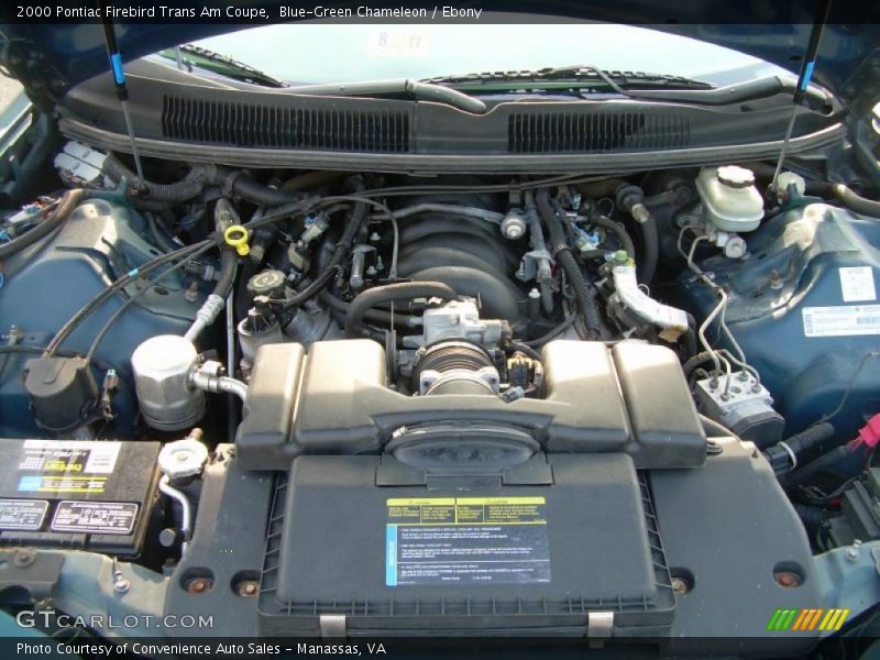 Blue-Green Chameleon / Ebony 2000 Pontiac Firebird Trans Am Coupe